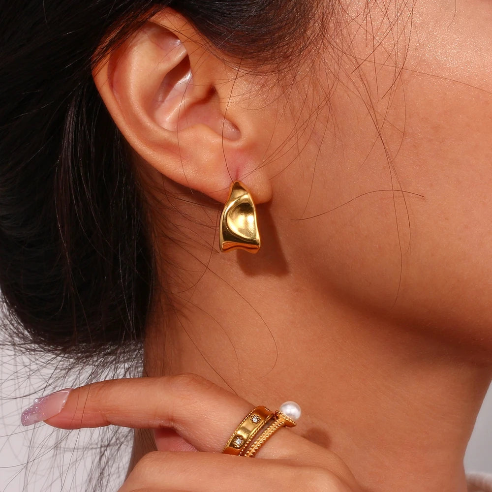 Trapezoid Shape Earrings
