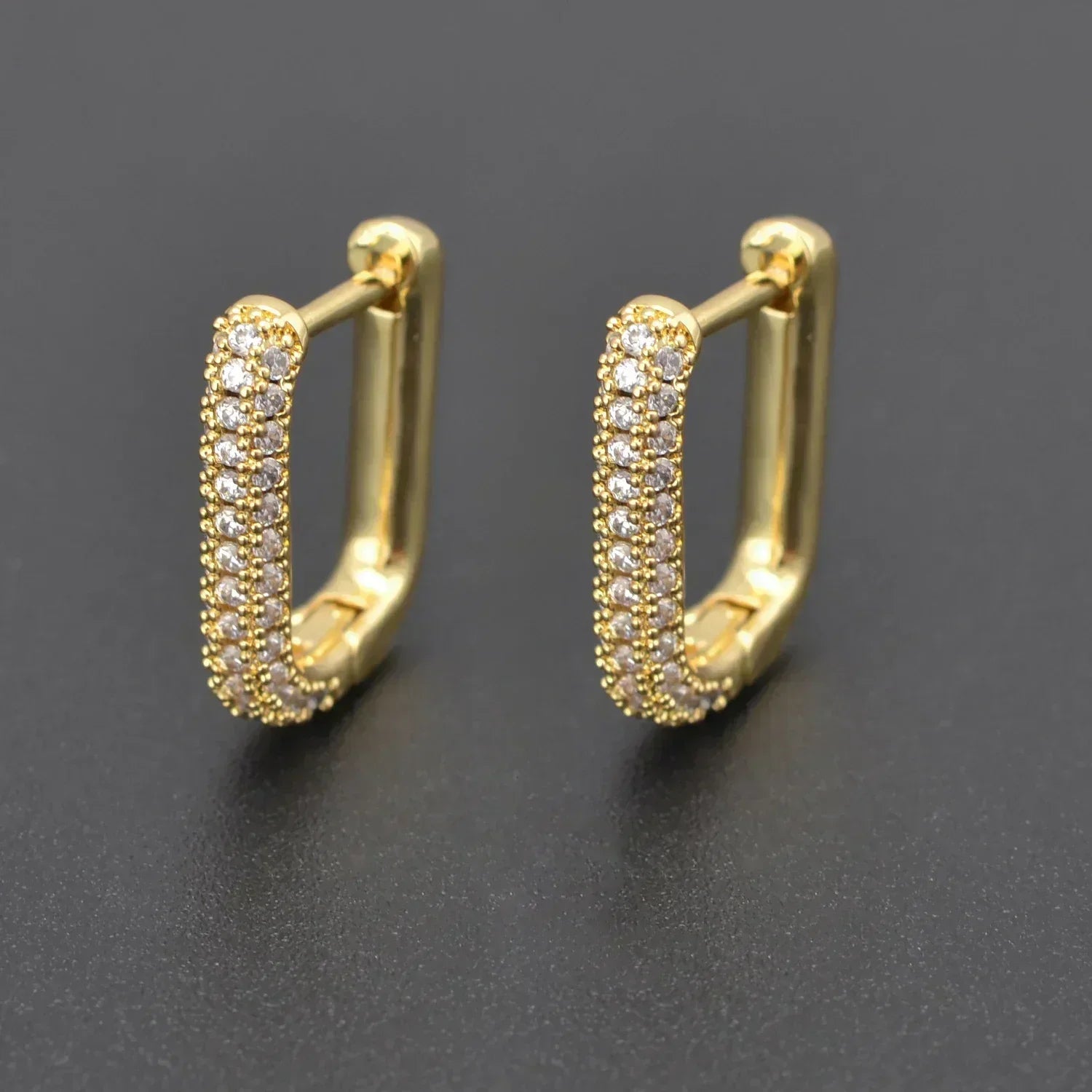 Big Hoop Earrings