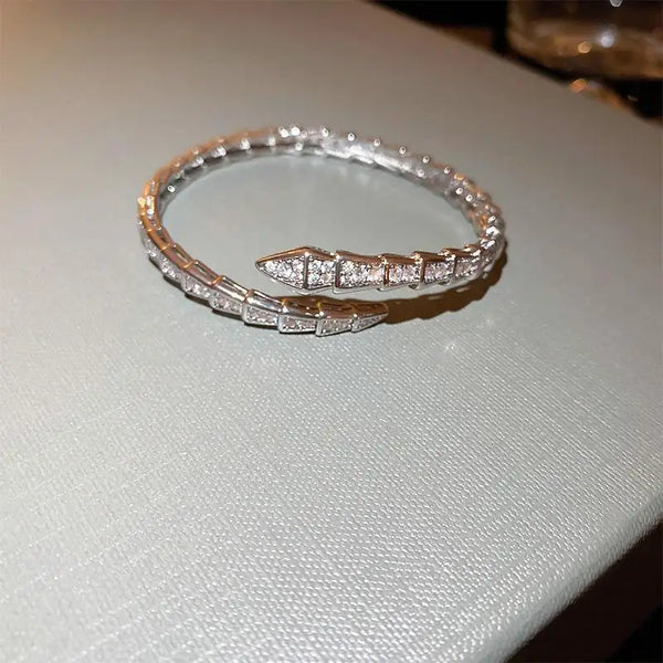 48147439255854