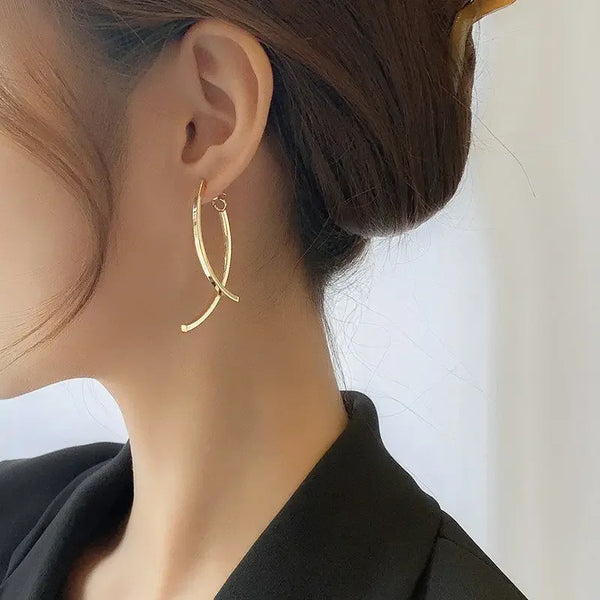 48166626459950